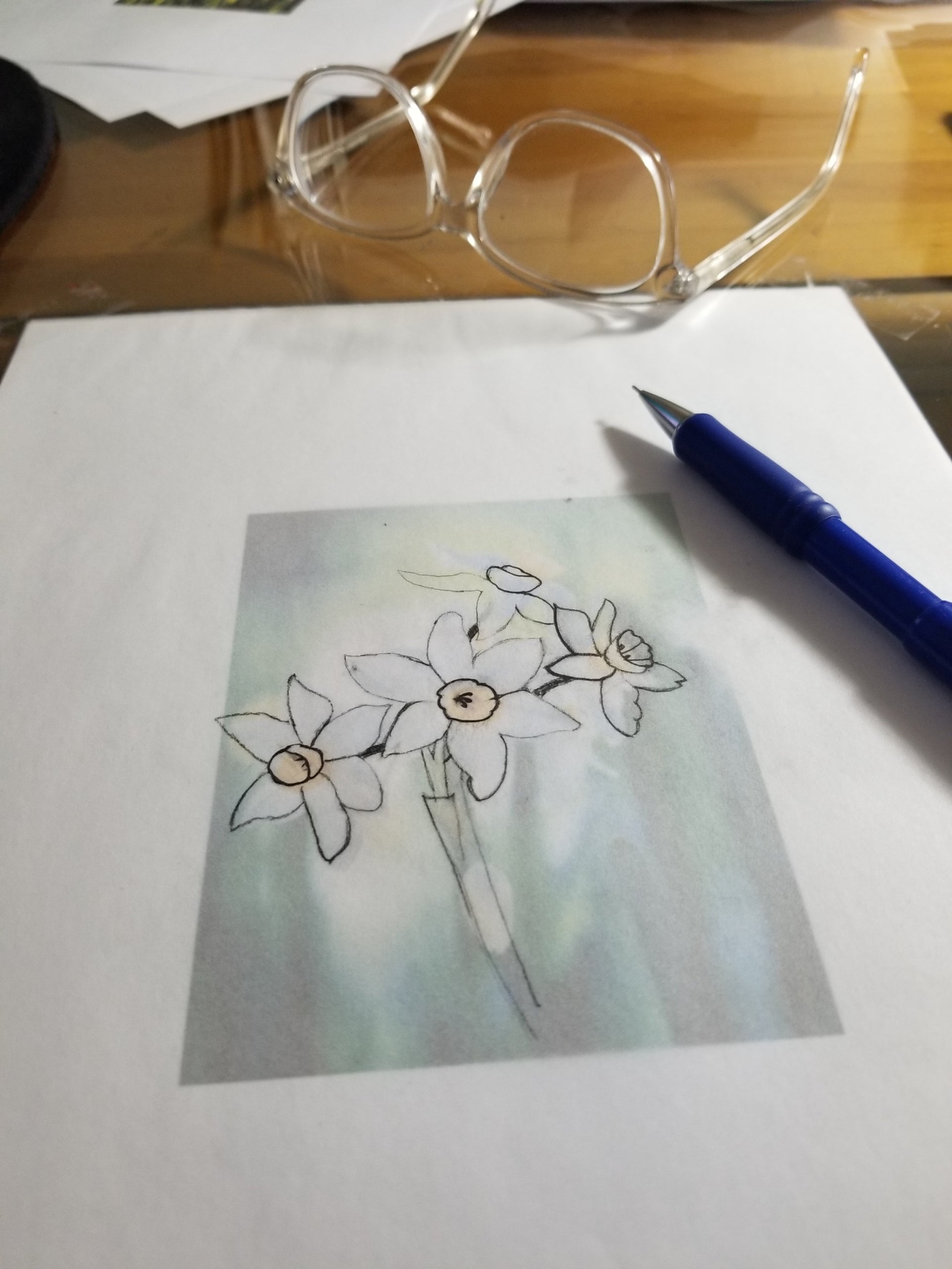 Daffodil Drawing